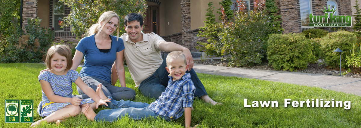 Family enjoying a green lawn